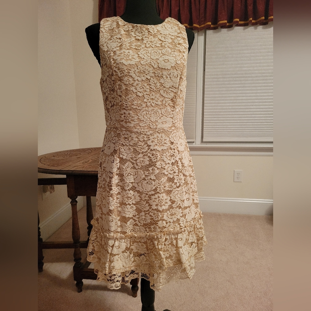 Altar'd State Large lace zippered Dress
